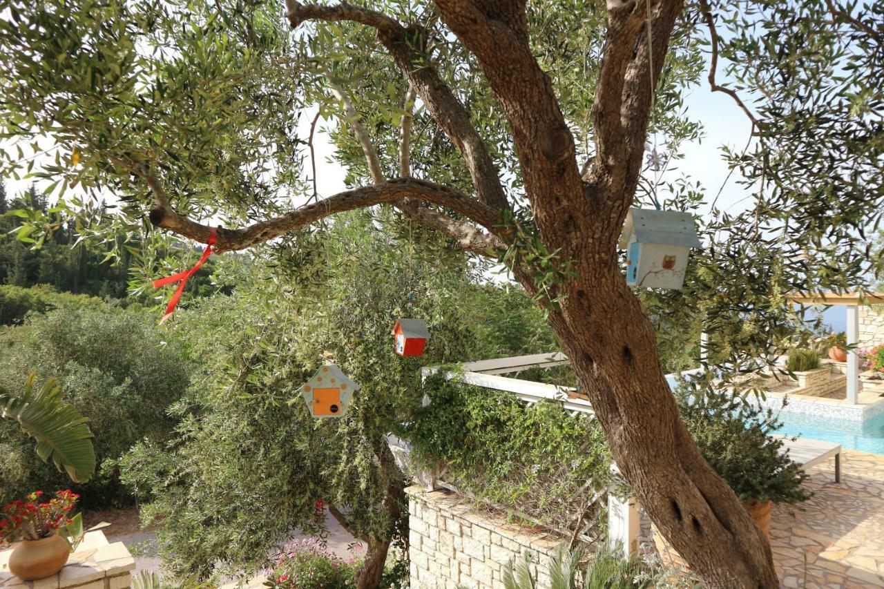 Hotel Opera House Paxos Gaios Zewnętrze zdjęcie