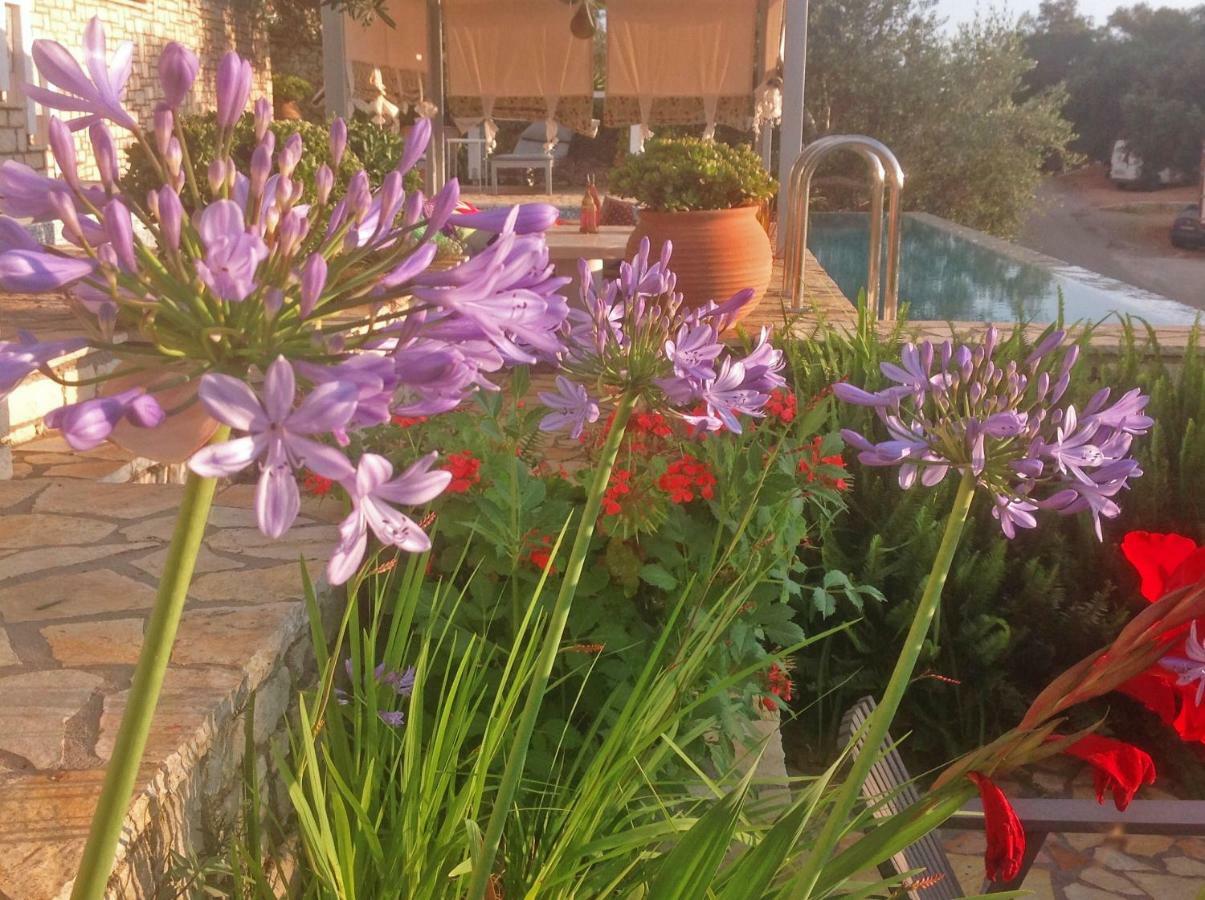Hotel Opera House Paxos Gaios Zewnętrze zdjęcie